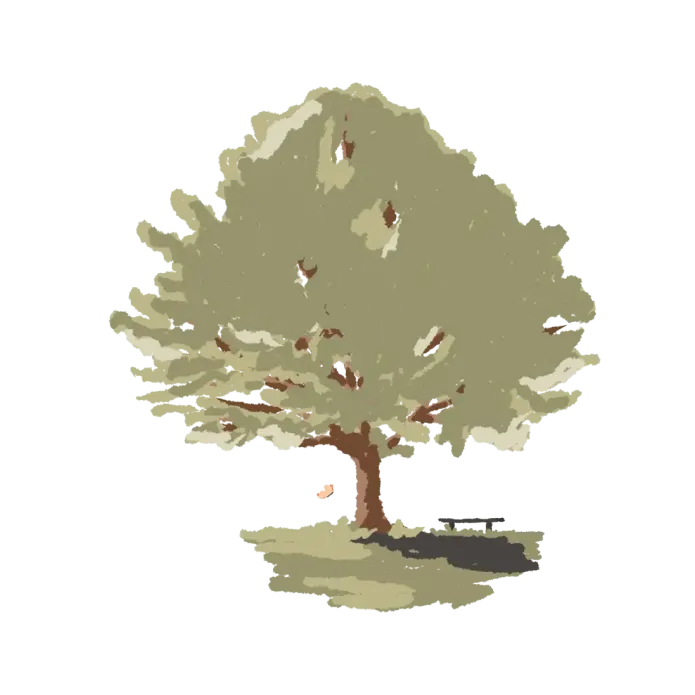 Blog image